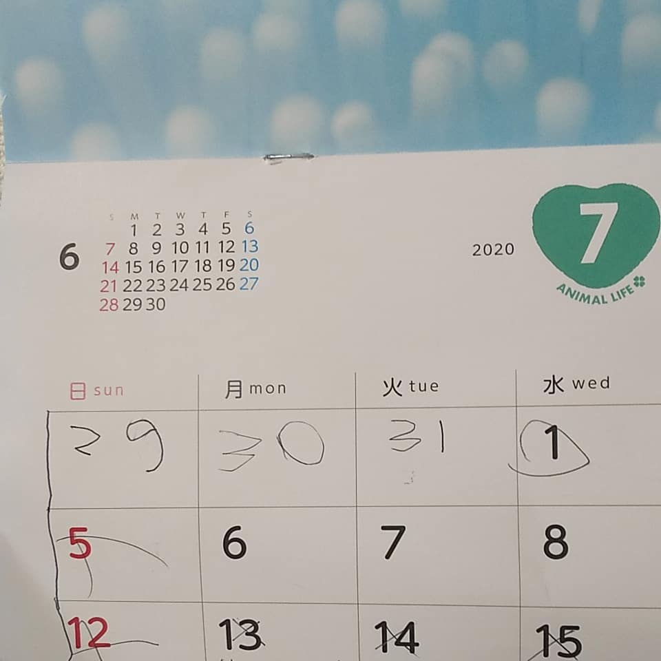 長女氏のカレンダーに追記してあった。