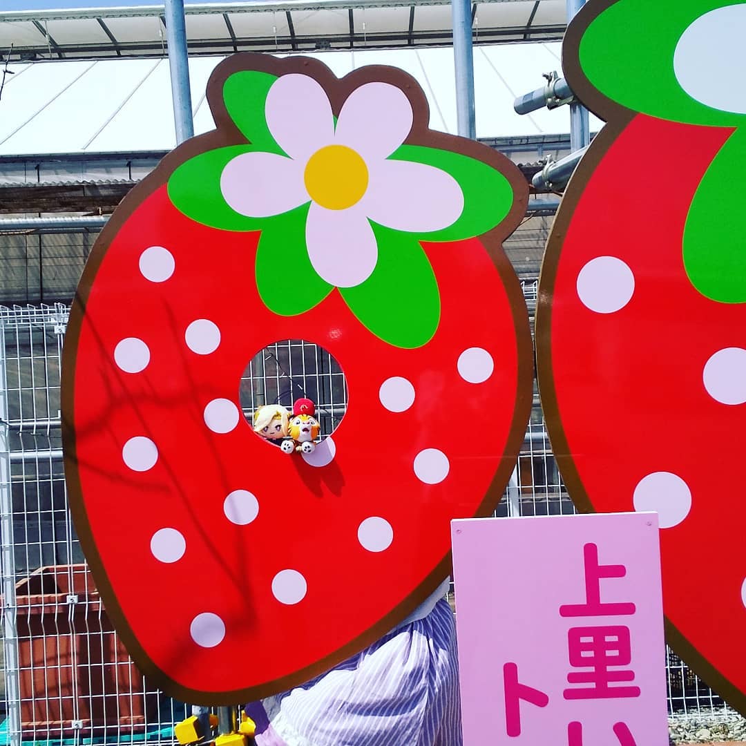 上里いちごトマト園